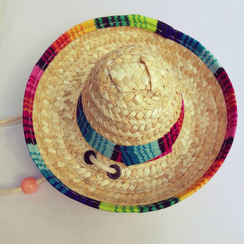 Pet Party Hat Sombrero