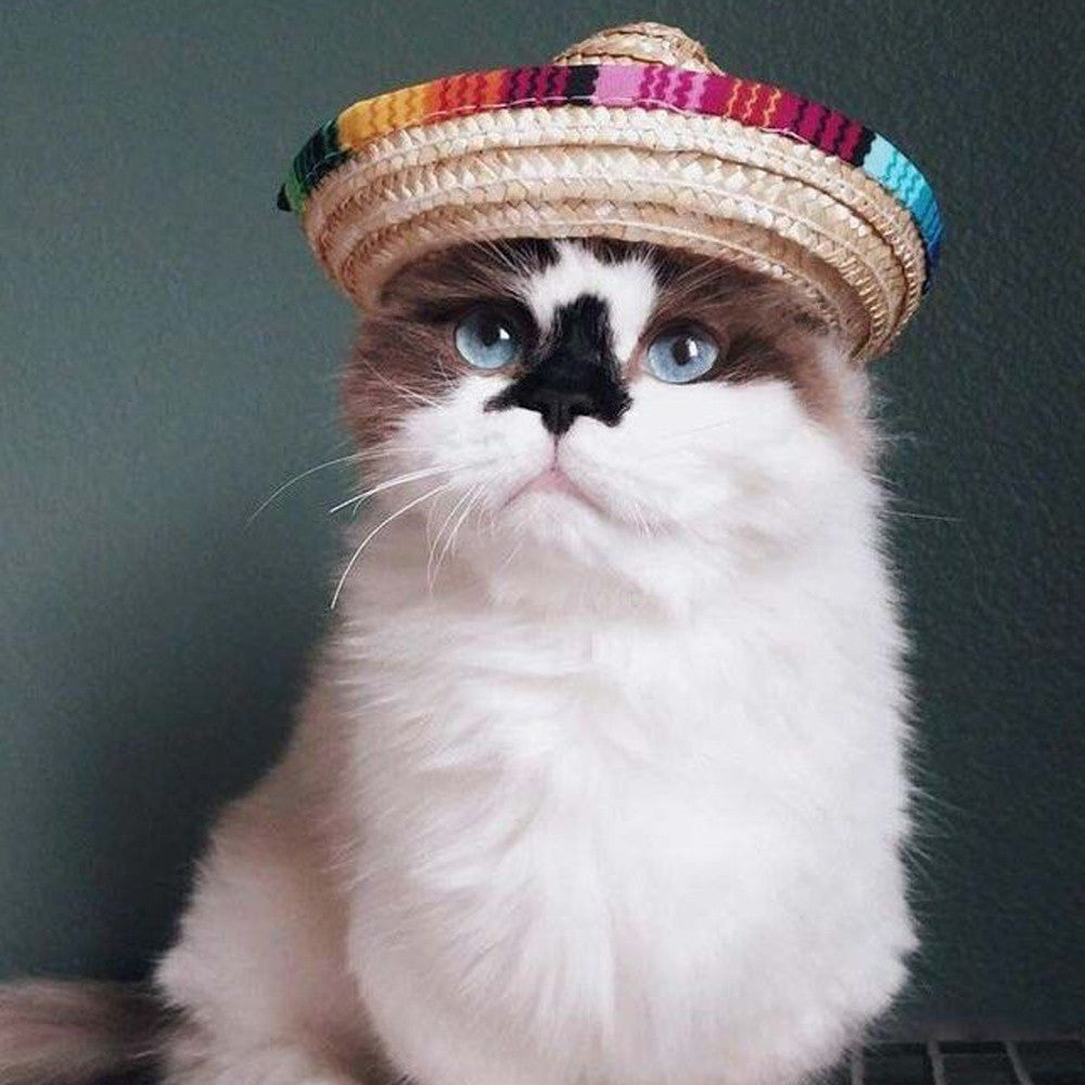 Pet Party Hat Sombrero